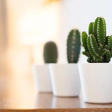 Aloha Marina Private 1st Line Ocean Carihuela Apartment