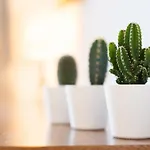 Aloha Marina Private 1st Line Ocean Carihuela Apartament