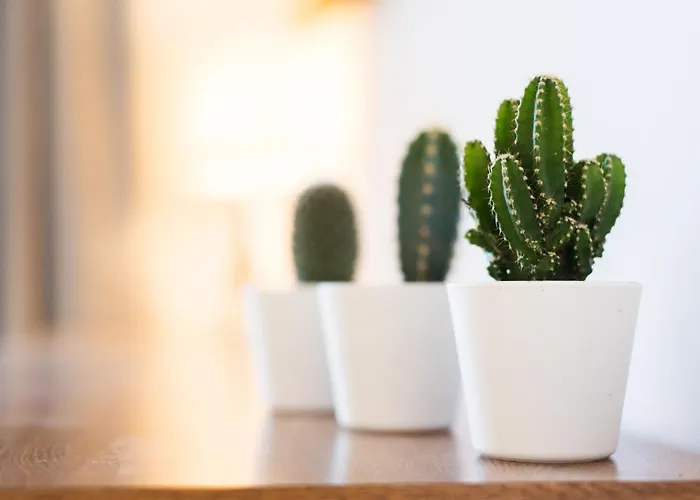 Aloha Marina Private 1st Line Ocean Carihuela Appartement